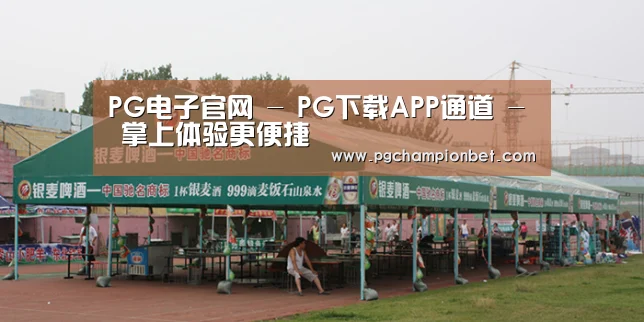 案例标题七