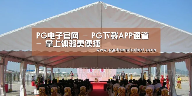 案例标题三